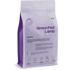 BUDDY DOG GRASS FE LAMB  2KG