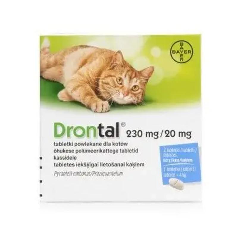 Drontal Cat