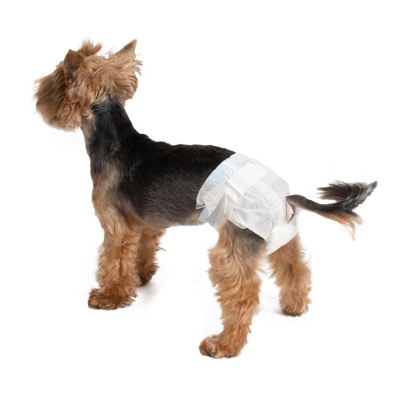 Farm Company Pelene, ženske gaće za pse, 12 komada