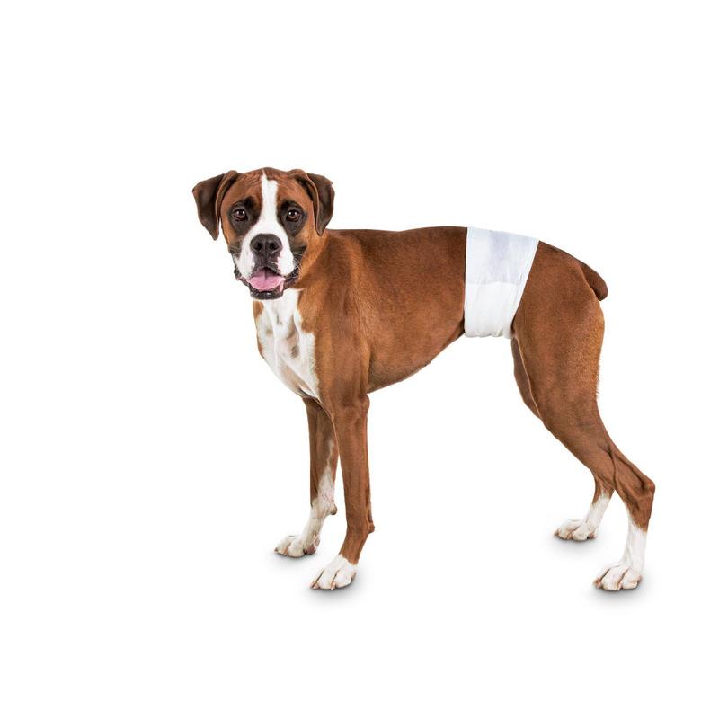 Farmcompany Pelene za mužjake  B-VAR254