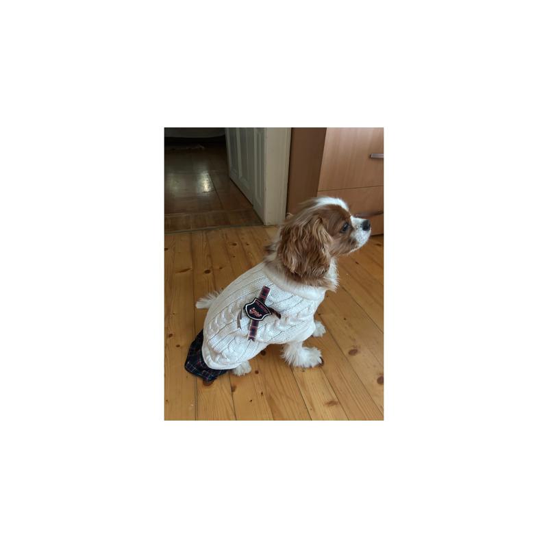 Farmcompany Vunena džemper-haljina za psa, L - 39cm