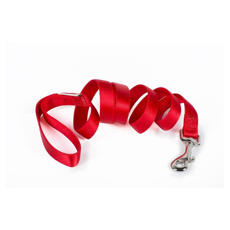 Povodac za pse L, 25x120cm