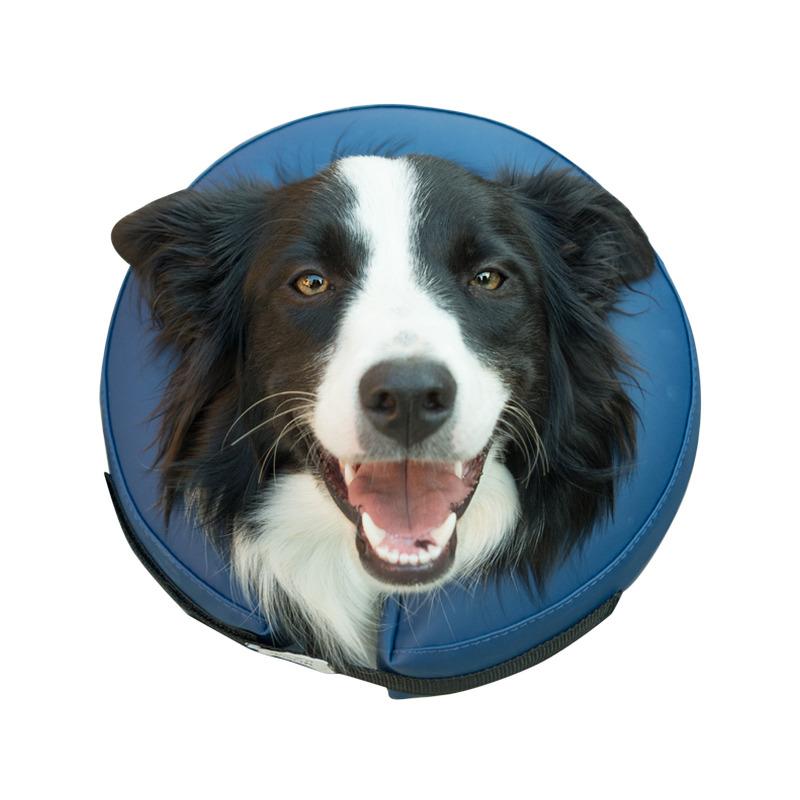 Zaštitna kragna za pse M ,B-VAR258