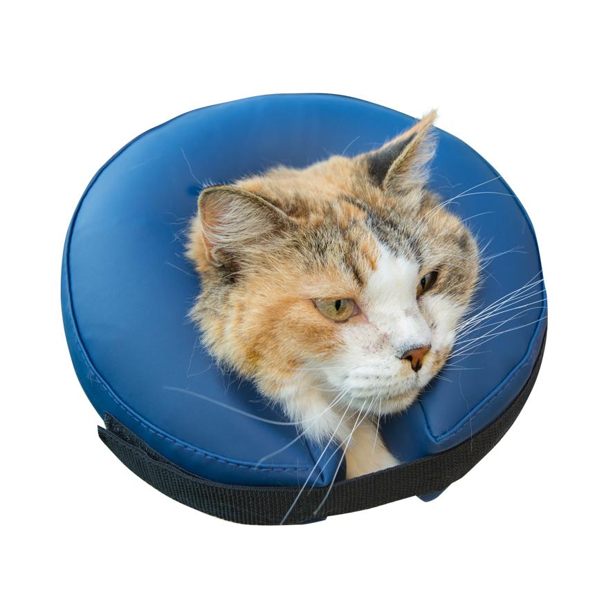 Zaštitna kragna za pse XS, do 15 cm, Plava